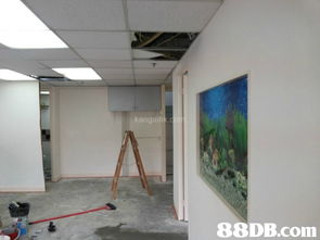 專(zhuān)業(yè)裝修與維修服務(wù) 家藝裝修工程全方位解決方案