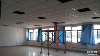 肇慶專業天花裝飾與維修工程全解析 從設計到施工的一站式服務